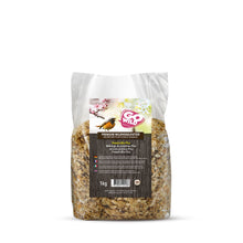 GoWild Wildvogel Protein-Mix Plus 1Kg mit Früchten, Nüssen & Insekten