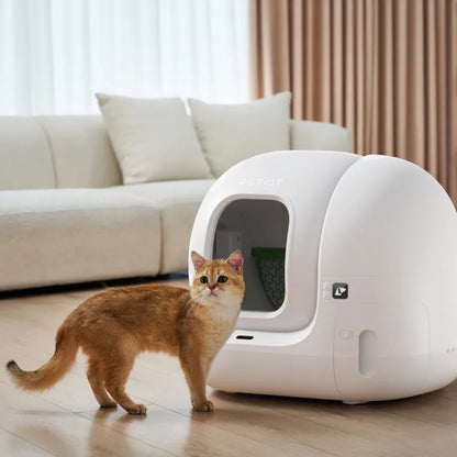 PETKIT PURA MAX 2 - Lettiera Autopulente per Gatti, Bianca